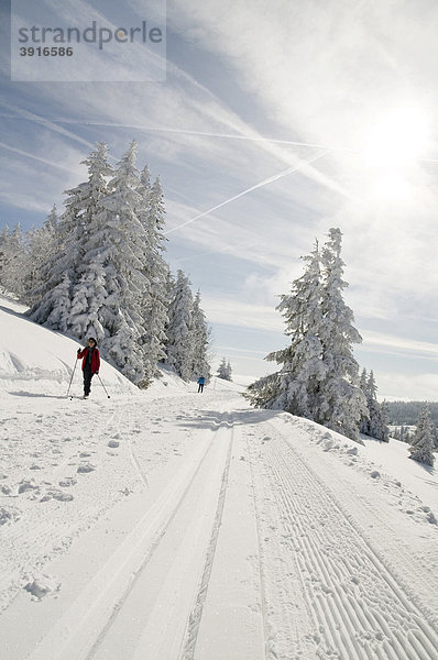 Winterwald mit Loipe und Langläufer