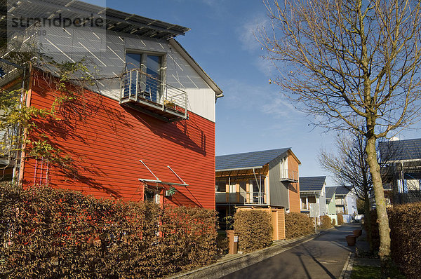 Ökologisches Vauban Viertel in Freiburg im Breisgau  Baden-Württemberg  Deutschland  Europa