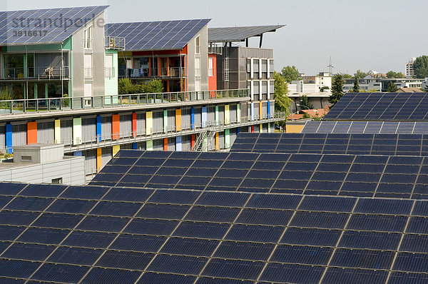 Dächer mit Solaranlagen  ökologisches Vauban Viertel in Freiburg im Breisgau  Baden-Württemberg  Deutschland  Europa