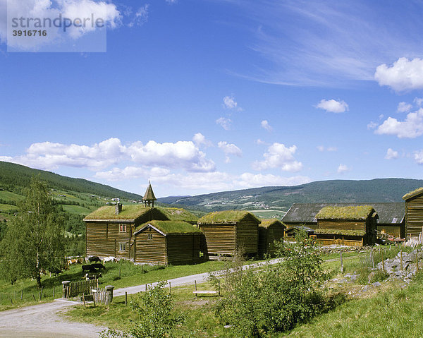 Häuser mit Grasdach  Nordnorwegen  Norwegen  Skandinavien  Europa