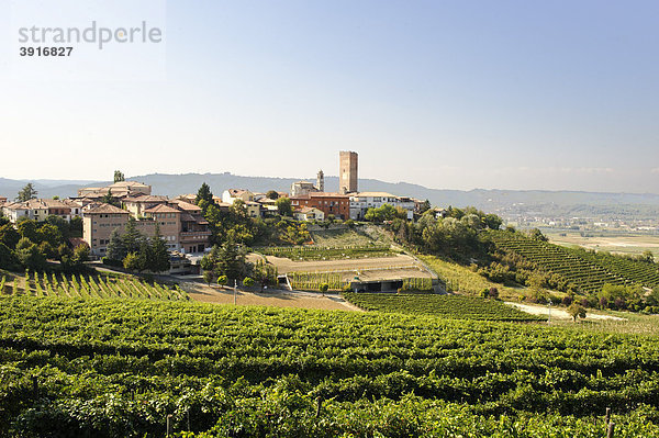 Barbaresco  Provinz Cuneo  Piemont  Italien  Europa