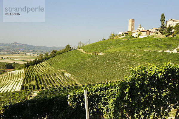 Barbaresco  Provinz Cuneo  Piemont  Italien  Europa