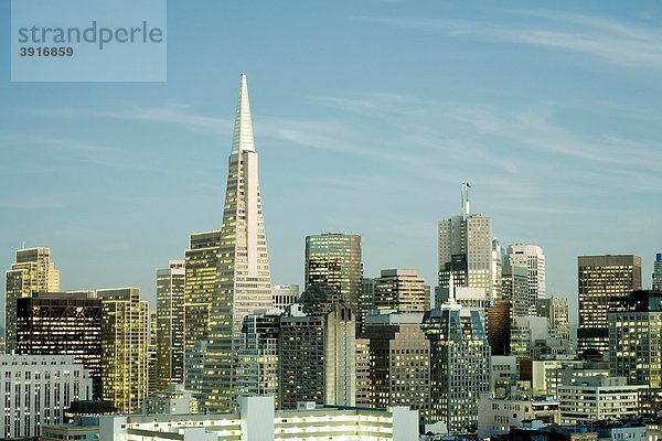 Downtown mit Transamerica Pyramid  San Francisco  Kalifornien  USA