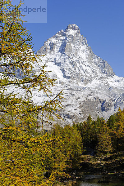 Matterhorn  4478 m  von Breuil-Cervinia  Val Tournenche  Aostatal  Piemont  Italien  Europa