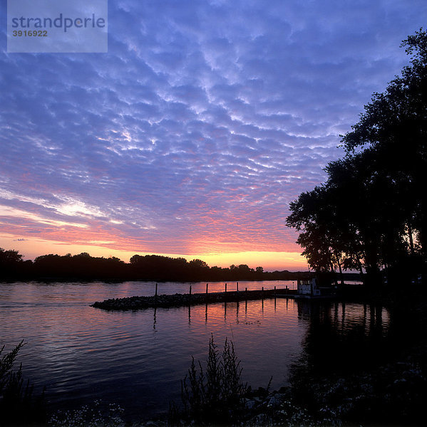 Sonnenuntergang  Donau bei Niederalteich  Niederbayern  Bayern  Deutschland  Europa