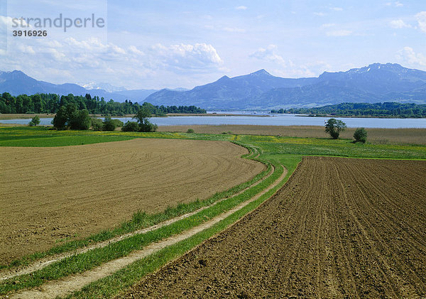 Schafwaschener Bucht  Chiemsee  unter Kampenwand und Hochplatte  Chiemgau  Oberbayern  Bayern  Deutschland  Europa