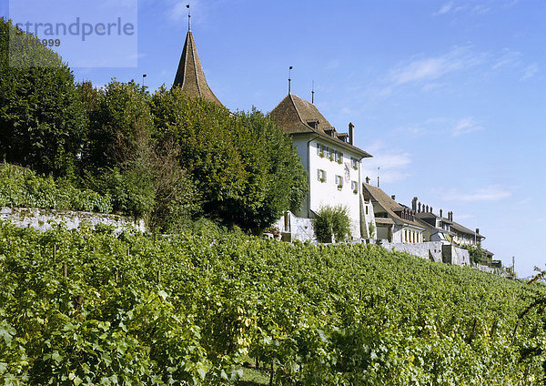 Schloss  erbaut von 1093 - 1097  Erlach am Bieler See  Kanton Bern  Schweiz  Europa