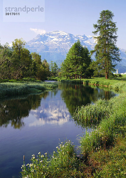 Piz Rosatsch und Piz Surley von Samedan  Engadin  Kanton Graubünden  Schweiz  Europa Kanton Graubünden