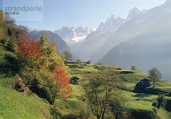 Bondascagruppe  Bergell  Kanton Graubünden  Schweiz  Europa Kanton Graubünden