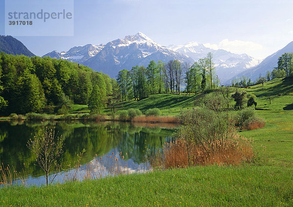 Burgseeli bei Interlaken vor dem Berg Schynige  Berner Oberland  Kanton Bern  Schweiz  Europa Kanton Bern