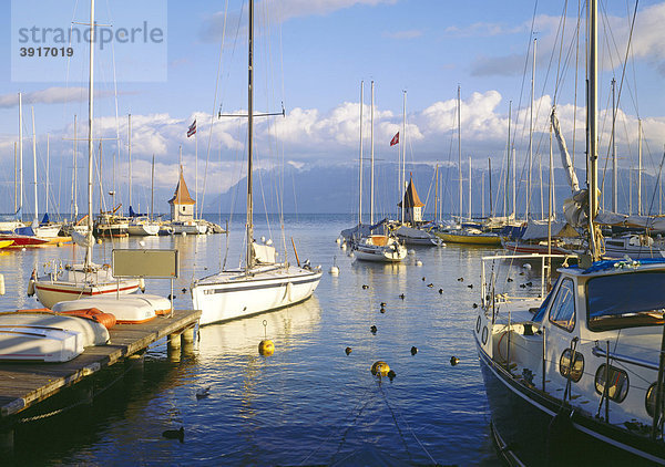 Yachthafen  Morges  Genfer See  Kanton Waadt  Schweiz  Europa Kanton Waadt