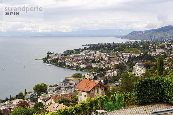 Genfer See bei Montreux  Kanton Waadt  Schweiz  Europa Kanton Waadt