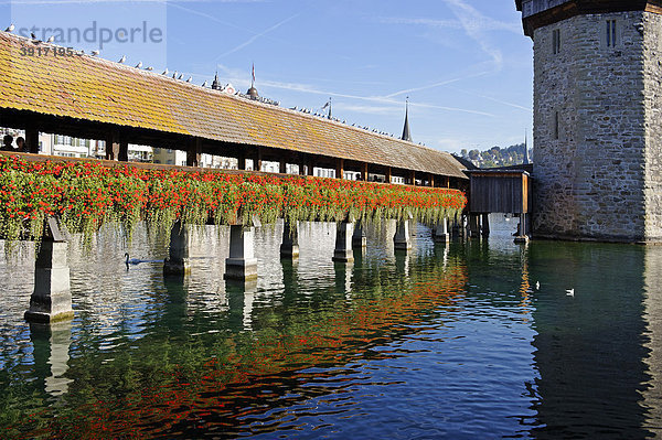 Kapellbrücke und Wasserturm  Luzern  Kanton Luzern  Schweiz  Europa Kanton Luzern