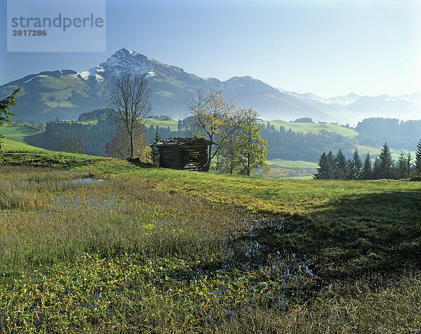 Kitzbühler Horn aus dem Tal der Pillerseer Ache  Tirol  Österreich  Europa