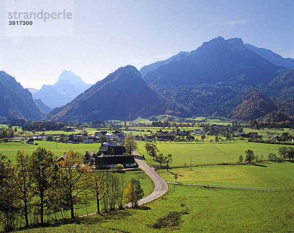 Moorland bei Hieflau  Steiermark  Österreich  Europa