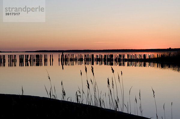 Abendrot am Großen Jasmunder Bodden  Insel Rügen  Ostseeküste  Mecklenburg-Vorpommern  Deutschland  Europa