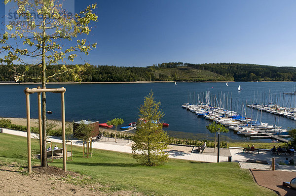 Promenade am Sorpestausee  Naturpark Homert  Sauerland  Nordrhein-Westfalen  Deutschland  Europa