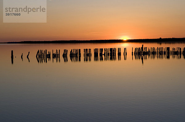 Sonnenuntergang am Großen Jasmunder Bodden  Insel Rügen  Mecklenburg-Vorpommern  Deutschland  Europa