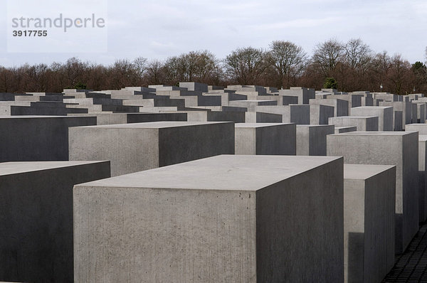 Holocaust-Mahnmal  Denkmal für die ermordeten Juden Europas  Stelenfeld  Berlin  Deutschland  Europa
