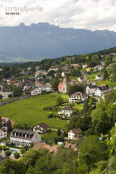 Ausblick auf Vaduz  Fürstentum Liechtenstein  Europa