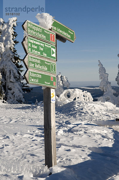 Wegweiser am Gipfelplateau des Großen Arber  Naturpark Bayerischer Wald  Bayern  Deutschland  Europa