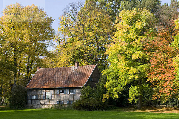 Fachwerkhaus in Herbstlandschaft  Lüdinghausen  Münsterland  Nordrhein-Westfalen  Deutschland  Europa