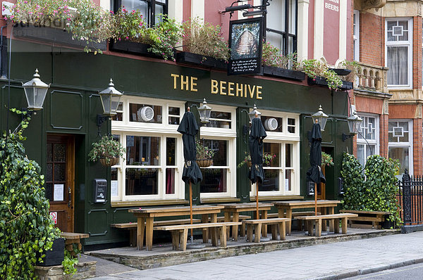 Pub The Beehive  London  England  Großbritannien  Europa