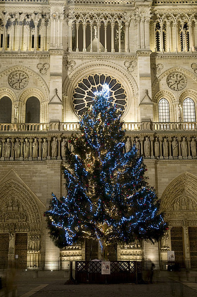 Weihnachtsbaum vor der Basilika Notre-Dame  Nachtaufnahme  Paris  Frankreich  Europa