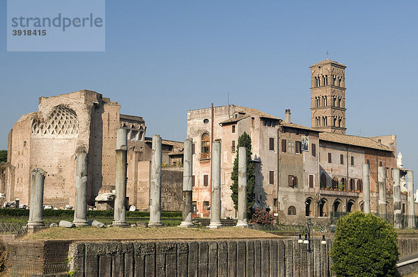 Kirche Santa Francesca Romana und Tempel der Venus und Roma im Forum Romanum  Rom  Italien  Europa