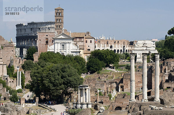 Forum Romanum  Rom  Italien  Europa