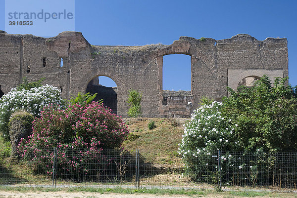 Ruine der Caracalla-Thermen  Rom  Italien  Europa