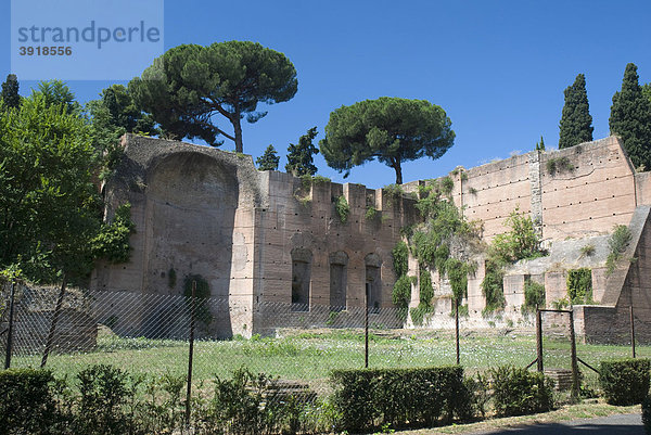 Ruine der Caracalla-Thermen  Rom  Italien  Europa