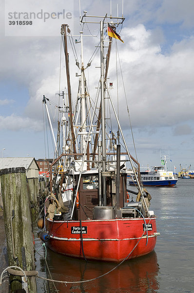 Fischerboot im alten Fischereihafen  Nordseeheilbad Cuxhaven  Niedersachsen  Deutschland  Europa