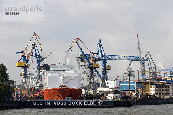 Schiff und Kräne im Dock an der Elbe  Hamburg  Deutschland  Europa