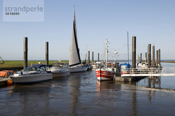 Altenbrucher Hafen an der Elbe bei Cuxhaven  Niedersachsen  Deutschland  Europa