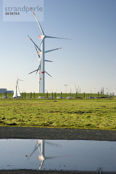 Windräder  Windenergiekraftanlagen  Cuxhaven  Niedersachsen  Deutschland  Europa