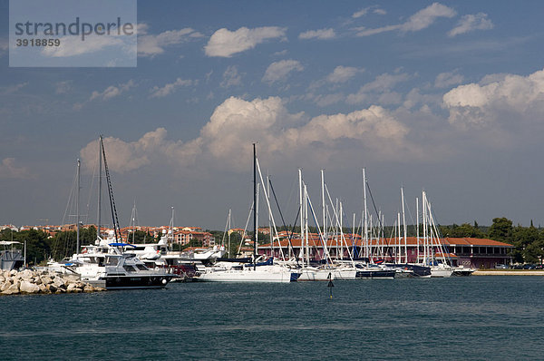 Segelboote im Hafen von Novigrad  Istrien  Kroatien  Europa