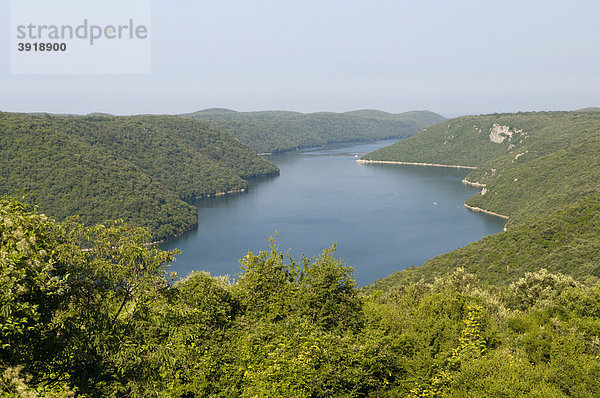 Limski Fjord  Istrien  Kroatien  Europa