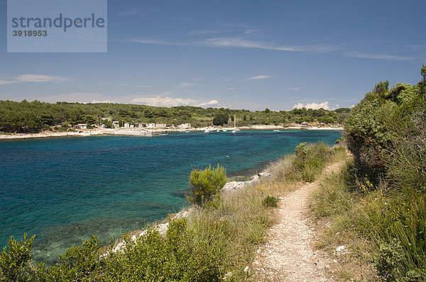 Wanderweg an der Küste  Naturpark Rt Kamenjak  Istrien  Kroatien  Europa