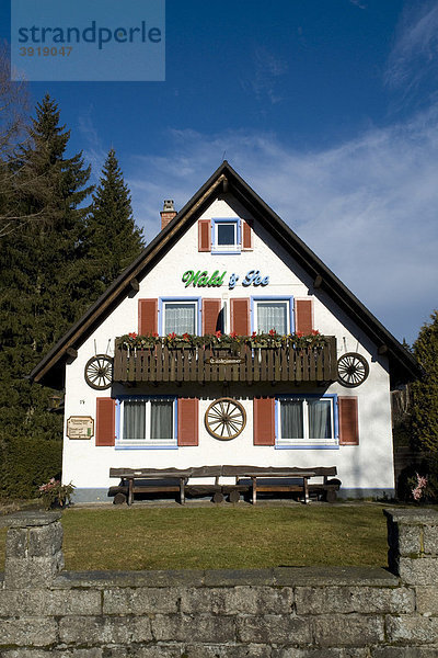 Pension Pension Wald und See  Titisee  Schwarzwald  Baden-Württemberg  Deutschland  Europa