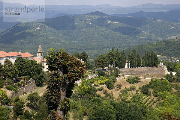 Bergdorf Motovun  Mirna-Tal  Istrien  Kroatien  Europa