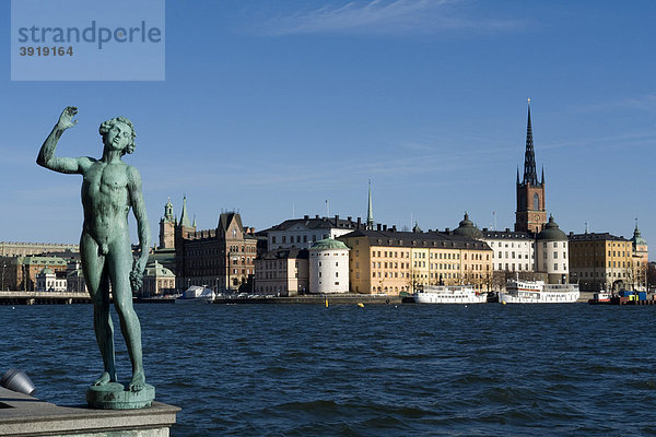 Statue und Altstadt Riddarholmen  Stockholm  Schweden  Skandinavien  Europa