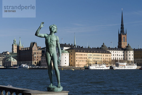 Statue und Altstadt Riddarholmen  Stockholm  Schweden  Skandinavien  Europa