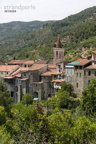 Ausblick auf das Bergdorf Isolabona  Nervia-Tal  Ligurien  Italien  Europa