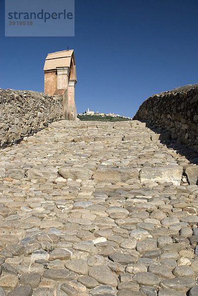 Mittelalterliche Bogenbrücke  Taggia  Riviera  Ligurien  Italien  Europa