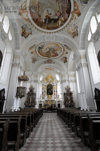 Innenansicht  Kloster- und Pfarrkirche St. Markus Sießen  Baden-Württemberg  Deutschland  Europa