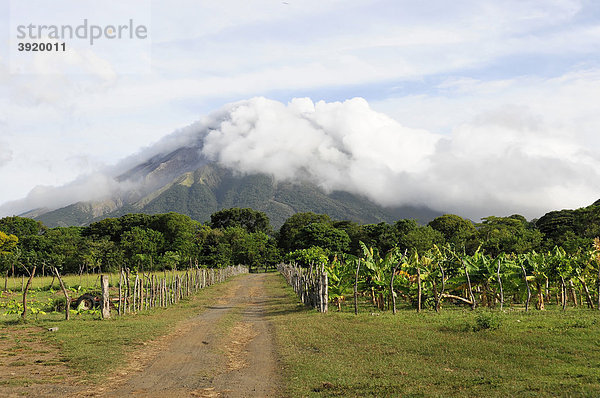 Ansicht auf den Vulkan Concepcion  1604 m  Charco Verde  Insel Ometepe im Nicaragua See  Nicaragua  Zentralamerika