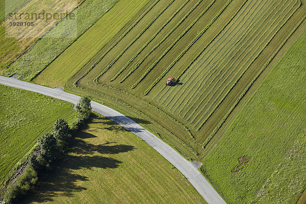Feld bei Obernölbling  Luftaufnahme  Dellach  Gailtal  Kärnten  Österreich  Europa
