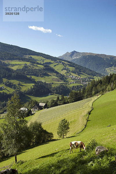 Rennweg  Katschtal  Kärnten  Österreich  Europa