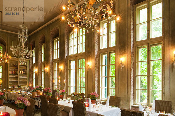 Restaurant  Hotel Villa Sorgenfrei  Radebeul bei Dresden  Sachsen  Deutschland  Europa